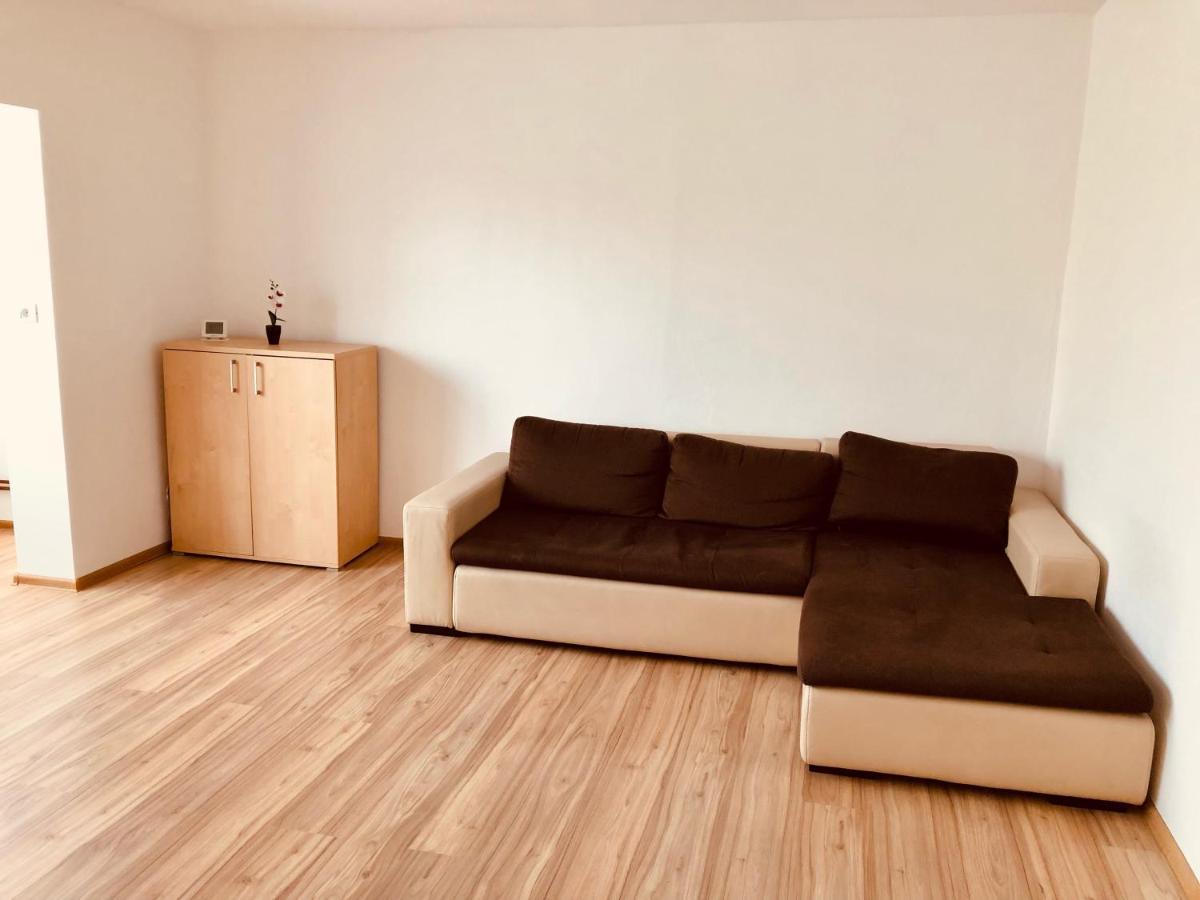 Joy City Stay Sanatatii Timişoara Extérieur photo